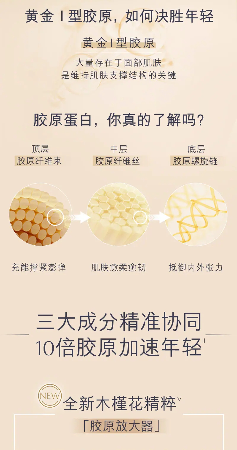 雅诗兰黛胶原乳霜（滋养）